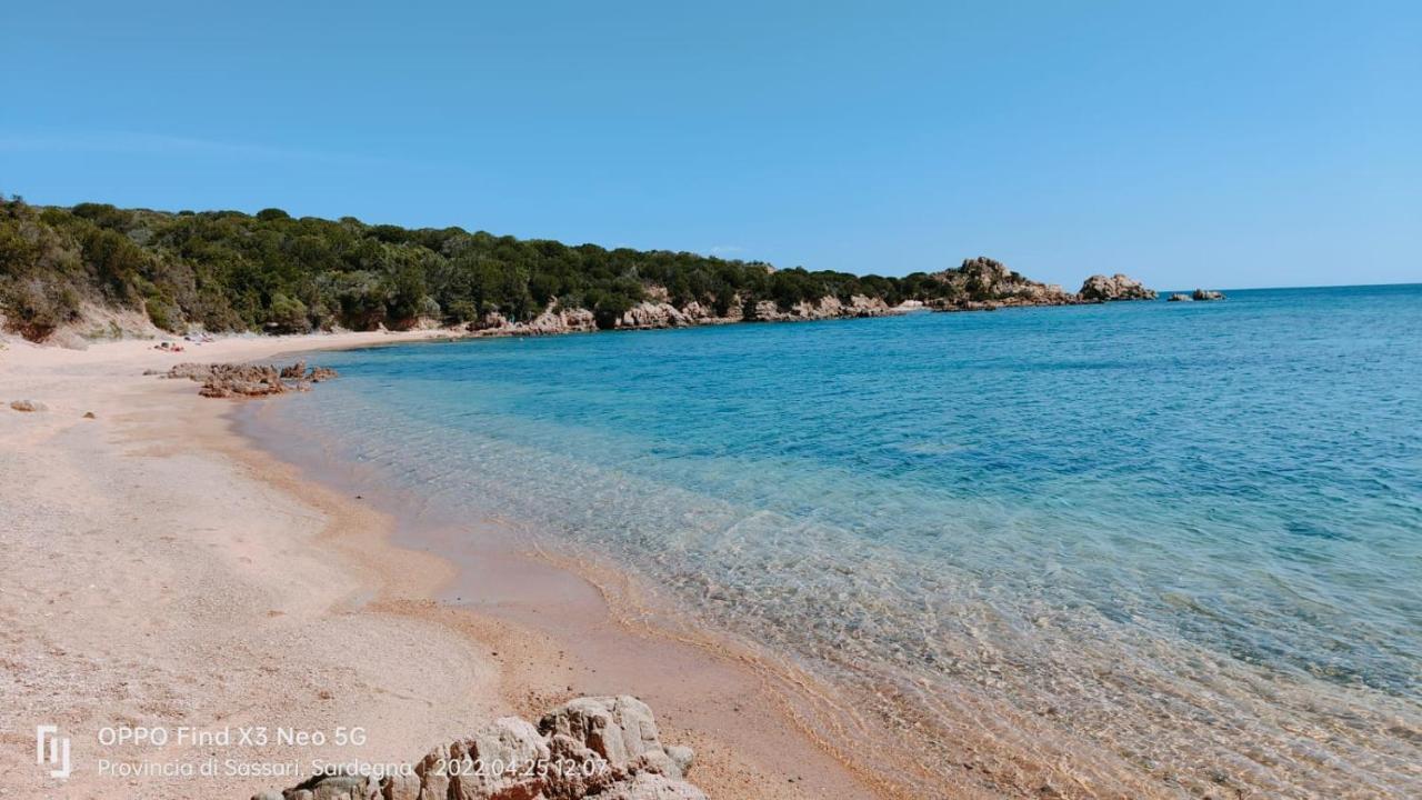 Villa Casa Mughetto R5055 Seafront, Private Sea Access, Swimming Pool à La Maddalena  Extérieur photo
