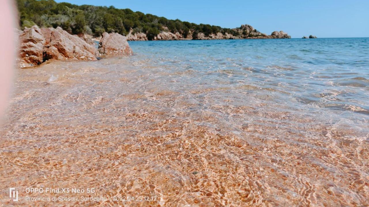 Villa Casa Mughetto R5055 Seafront, Private Sea Access, Swimming Pool à La Maddalena  Extérieur photo