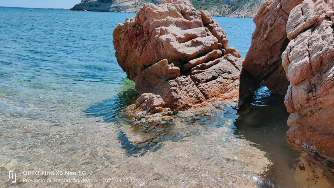 Villa Casa Mughetto R5055 Seafront, Private Sea Access, Swimming Pool à La Maddalena  Extérieur photo