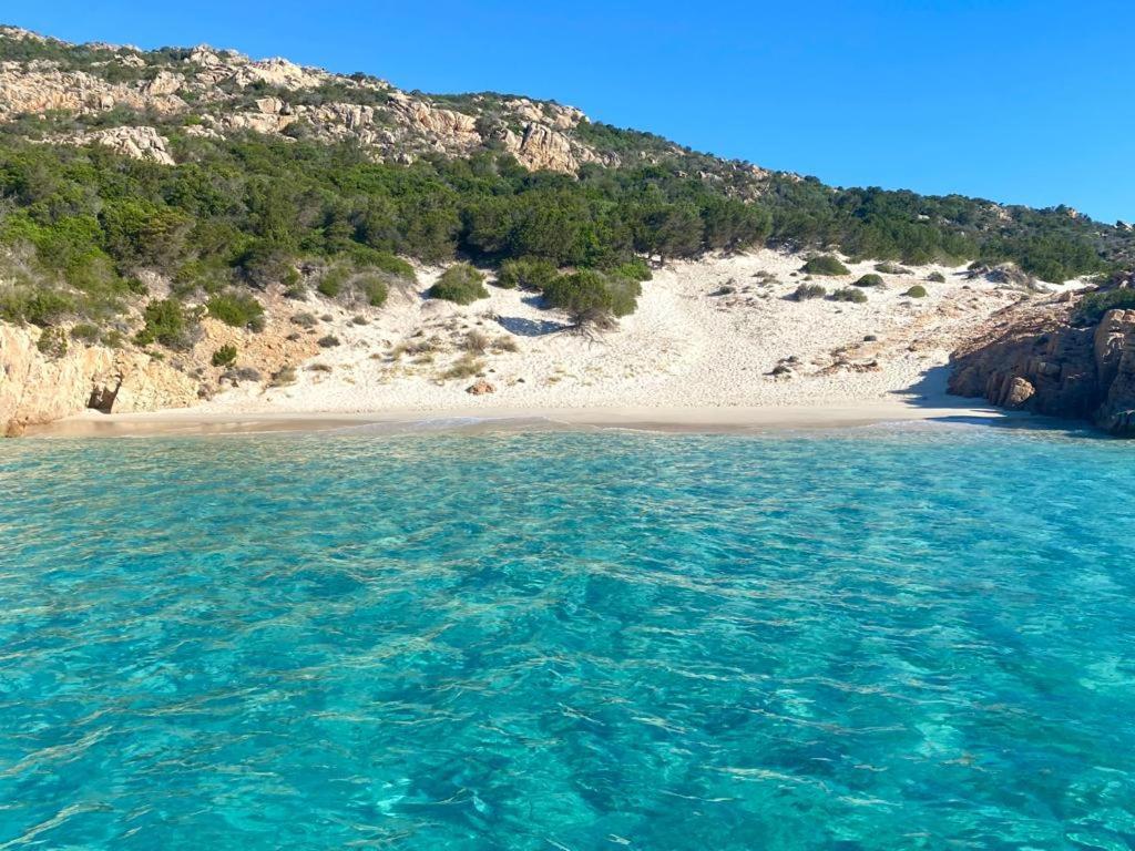 Villa Casa Mughetto R5055 Seafront, Private Sea Access, Swimming Pool à La Maddalena  Extérieur photo