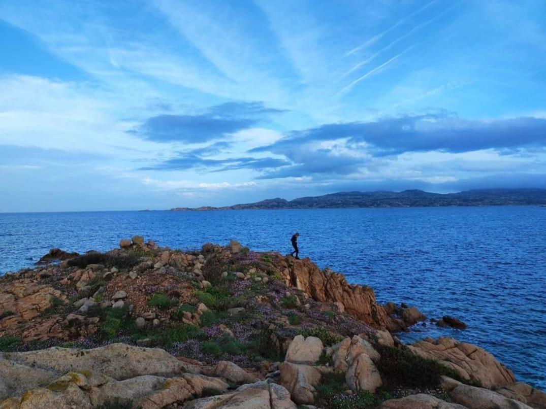Villa Casa Mughetto R5055 Seafront, Private Sea Access, Swimming Pool à La Maddalena  Extérieur photo